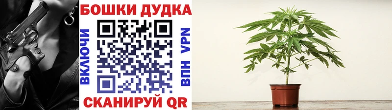  COCAIN Чишмы
