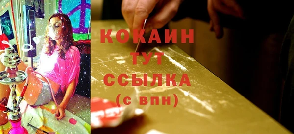 прущая мука Няндома