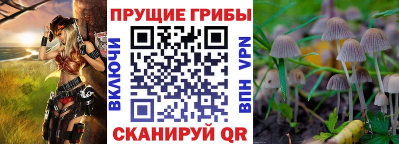 купить наркотик  Чишмы  blacksprut ONION  Псилоцибиновые грибы мицелий 